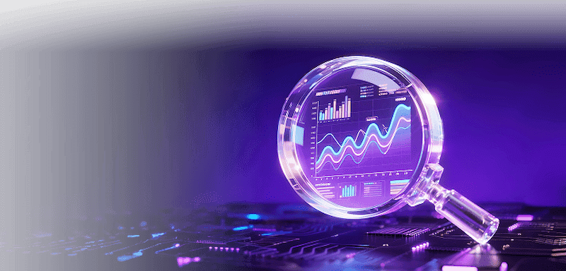 Targeted Market Analysis